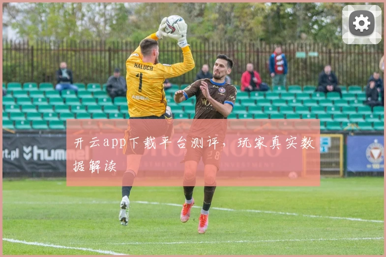 开云app下载平台测评，玩家真实数据解读