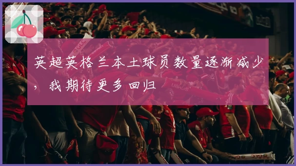 英超英格兰本土球员数量逐渐减少,我期待更多回归
